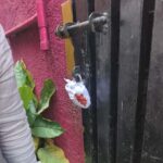 14 PGs Sealed for Violating SOP Guidelines: D.S. Ramesh,Bengaluru East City Corporation Commissioner