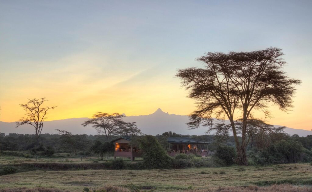 Where Adventure Earns Rewards: World of Hyatt Members Can Now Book Authentic Luxury Safaris with Asilia Africa