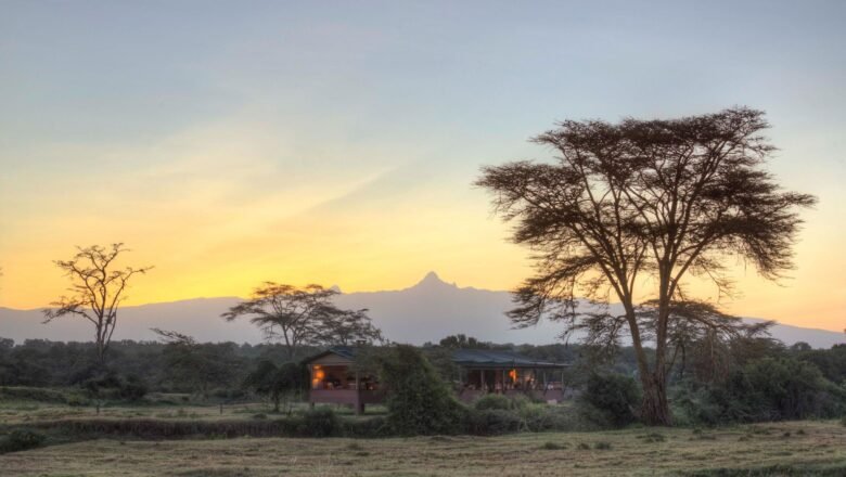 Where Adventure Earns Rewards: World of Hyatt Members Can Now Book Authentic Luxury Safaris with Asilia Africa