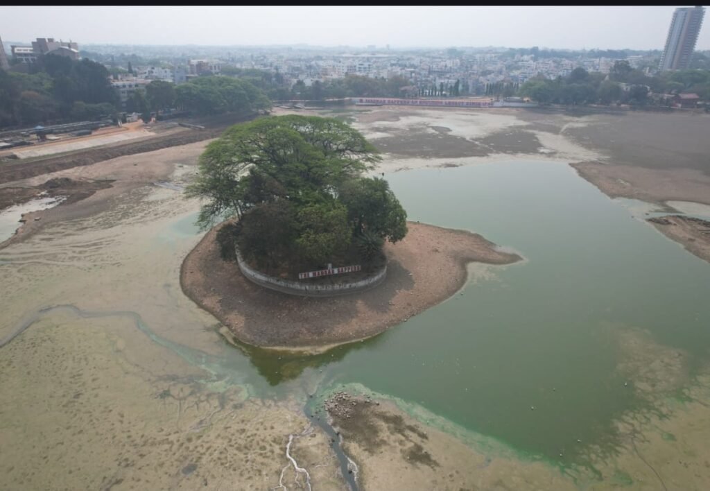Comprehensive development works of Halasuru Lake are in progress: Rajendra Cholan