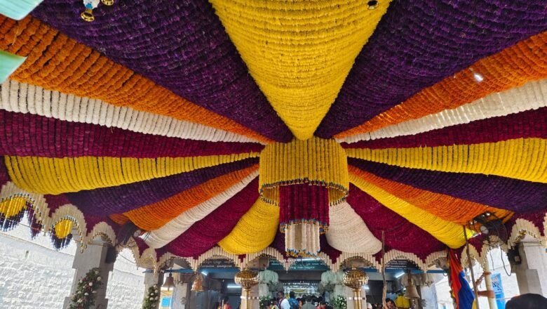 Measures taken by the Bengaluru Central City Corporation for the Karaga Mahotsav: